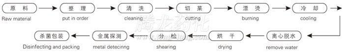 脱水蔬菜带式干燥工艺流程